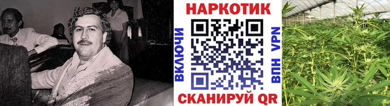 Цена Электроугли Амфетамин СК ГАШИШ Кокаин