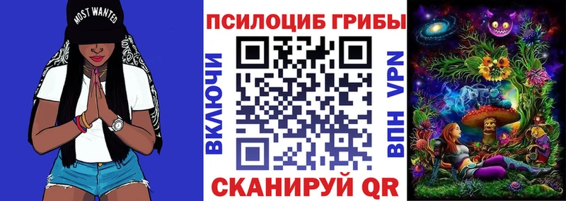 Псилоцибиновые грибы GOLDEN TEACHER  blacksprut зеркало  Электроугли 